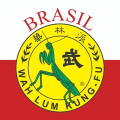 Wah Lum Kung Fu Brasil