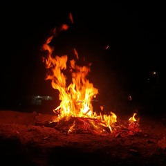 هاشم القرشي