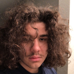 DT And The Funky Jesters