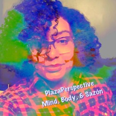 PlazaPerspectivePodcast
