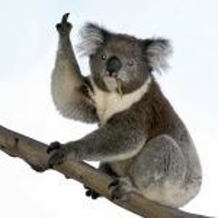 k0000alab0000000000ss