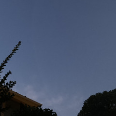 naoshi