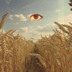 Lion Hearted, God My Armor