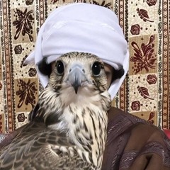 ماوحشتك؟