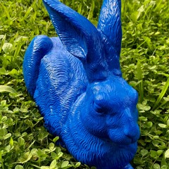 Blauer Hase