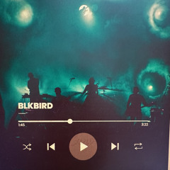 BLKBIRD COLLECTIVE