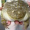 Phat Forg