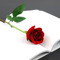 Hanan Mohmmed