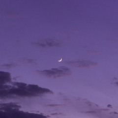 Purple Moon