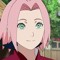 theyhatesakura