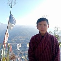 བསྟན'འཛིན' ནོར'བུ།