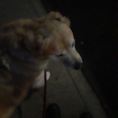 jett