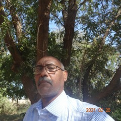 مصطفي سيد احمد عني