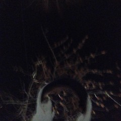 iceoutbrxkx
