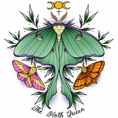 The Moth Queen