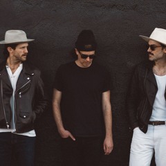 Grizfolk