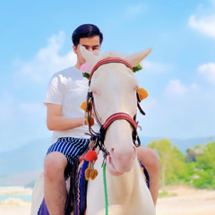 Hadi zahir