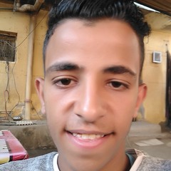 السيد عوف