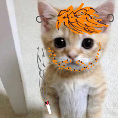 *orangecat*