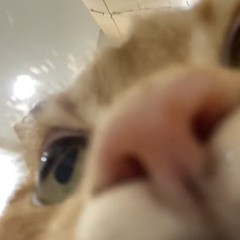 Ksiusha Shyshanovska