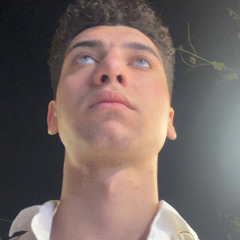 Berk Meriç Alkan