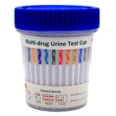 DJ Piss Test