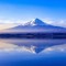 Fujiyama mix