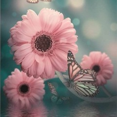 عائشة الراوي