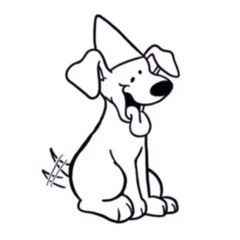 DUNCEDOG - PARKER