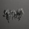 MAITLAND