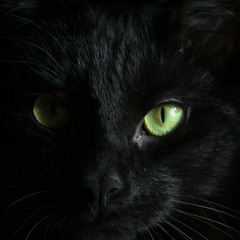 Black Cat Shaman
