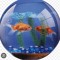🐠💿🫧🧩🌐reuse reduse recycle !!🫧🧩🌐💿🐠