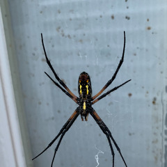 Brandon Hyden inthe lights :)