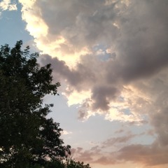 Stream Sophia Music | Listen To Songs, Albums, Playlists For Free.