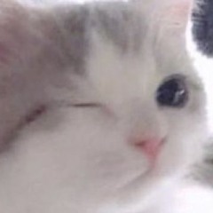 양정현