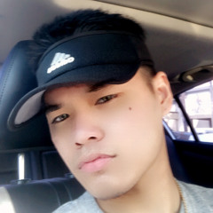 Rein the plug