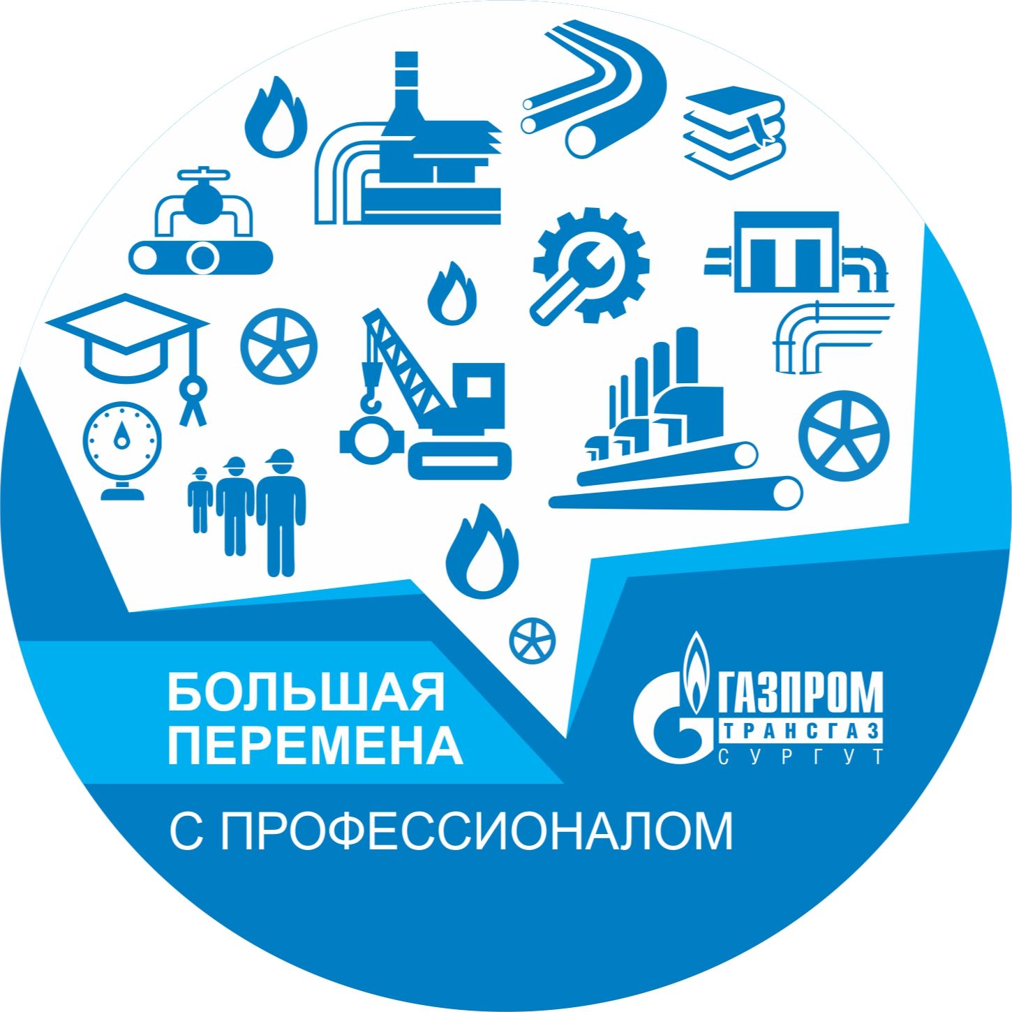 Большая перемена с профессионалом