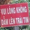 Nguyen Ha Vy