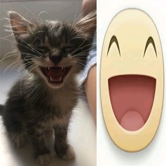 LMFAAOOO