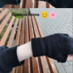 dimakuncik