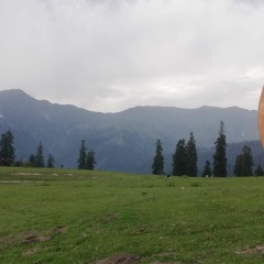 Zuraiz Nawaz