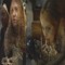 ilypulxse-