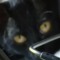 babs (nitrecint)
