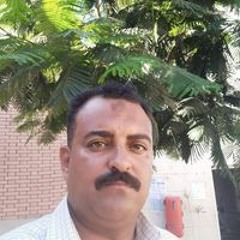 محمود الصافى السماحى