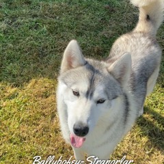 Caitlinmcginley20099