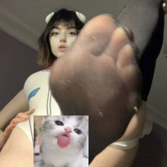 Nikoll