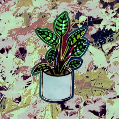 Yes Plant