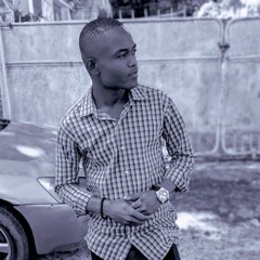 Renley Dessinateur Art