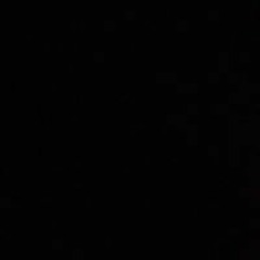 مصطفى الاسدي