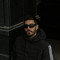 amiraliusfii